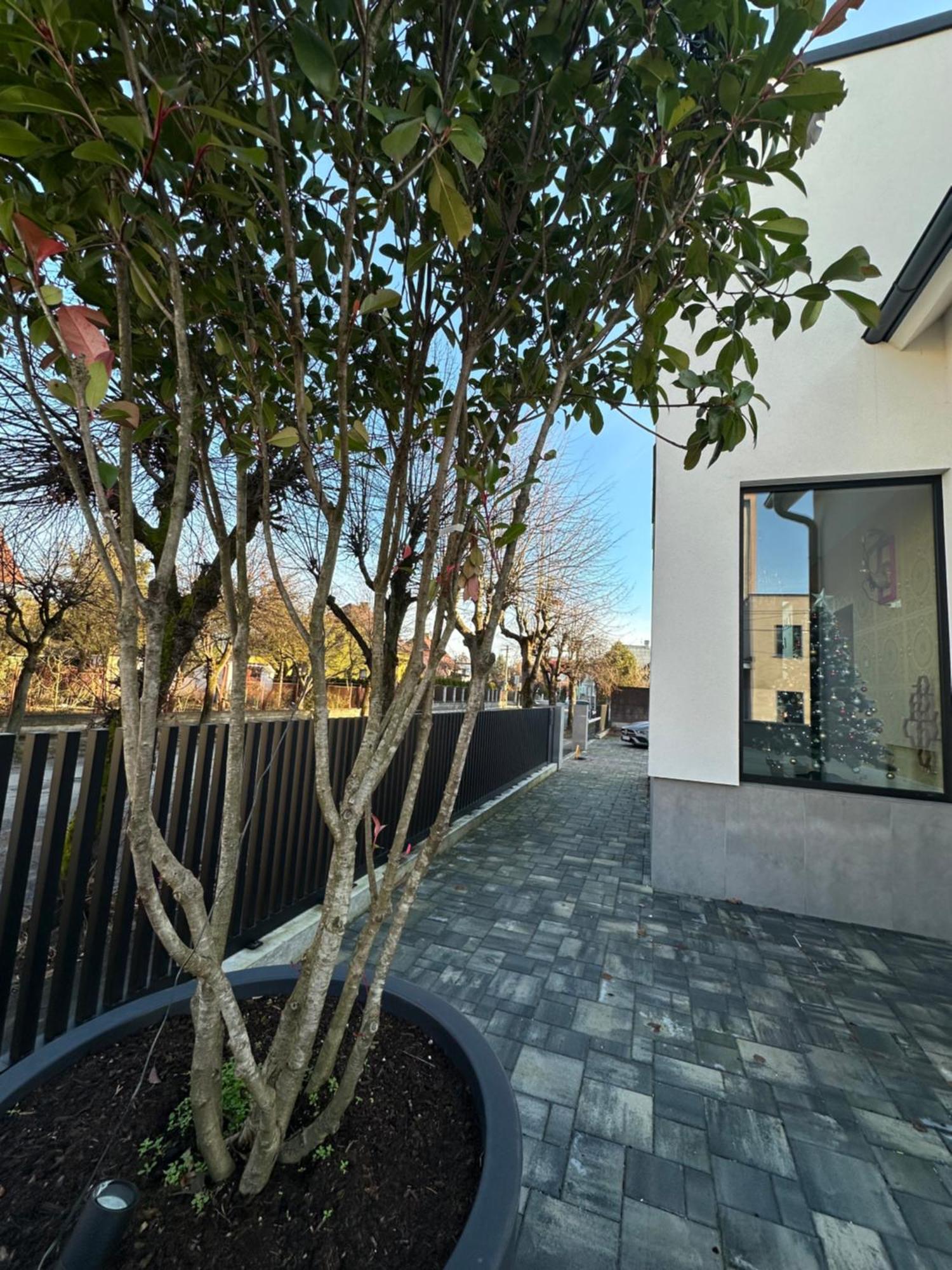 Villa Mala Praha Experience In The Center Of Zilina Exterior photo